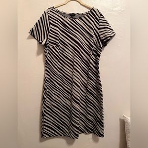 Ann Taylor Zebra Jacquard Shift Dress | Size 12 | NWT